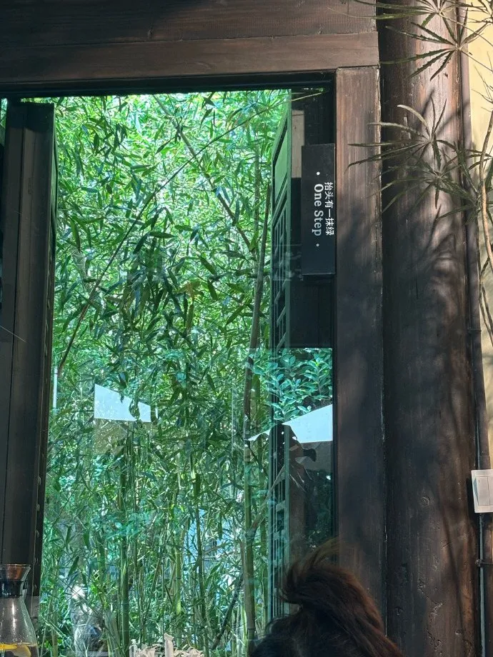 窗边的绿色植物