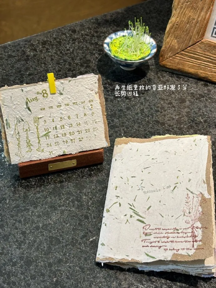 材料实验。画本和材料铺开，保留手作过程中的试探。