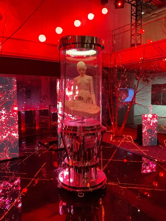 幻境。红色装置让展览空间出现更强的戏剧张力。