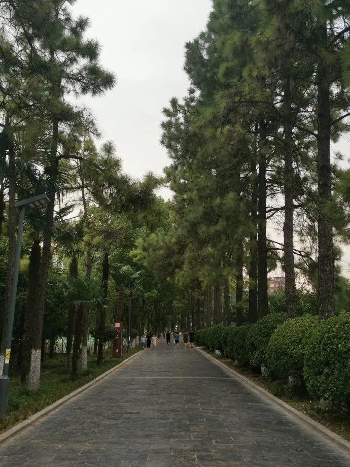 路过。一条小路把散步中的方向感留下来。
